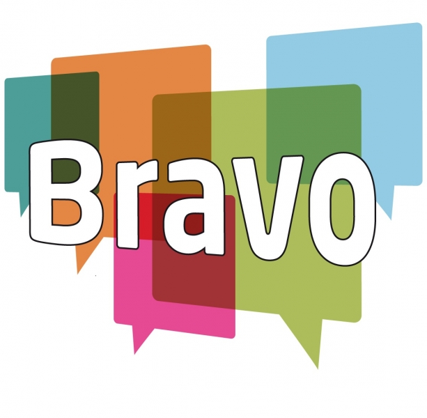 Be bravo. Bravo. Браво лого. Двери Bravo logo. Двери Браво логотип.